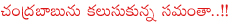 samantha meeting chandrababu naidu,samantha help for hudhud,samantha donation for vizag cyclone,samantha upcoming films,memu saitham on nov 30,memu saitham ticket bookings,memu saitham programme highlights